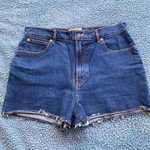 Everlane Way-High Denim Short